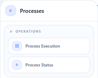 Menu Processes mostrando somente Process Execution em destaque
